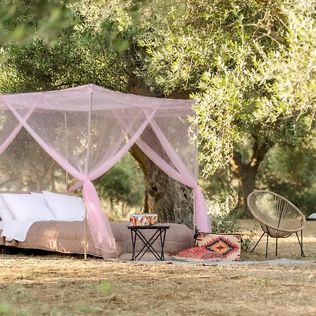 Star Sleep Elis Land Estate - Eleni Amaliada